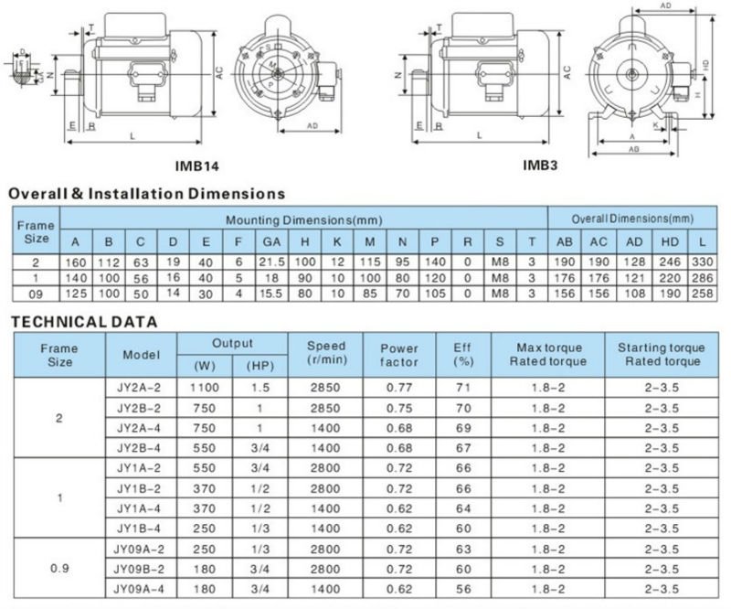 Single Phase Capacitor Start Induction Motor