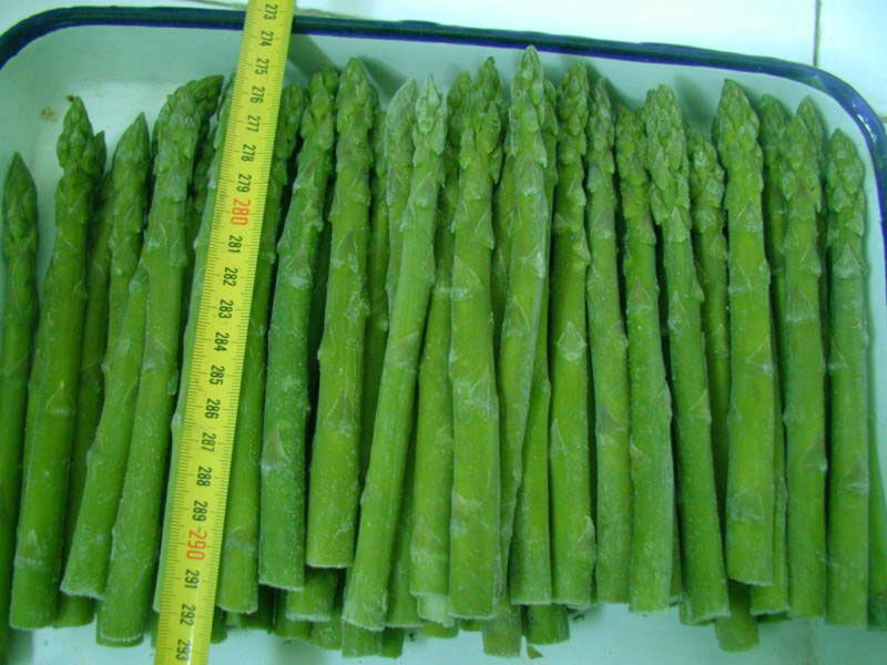 currently export frozen asparagus