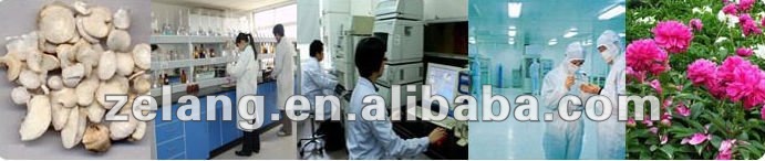 Althaea Rosae Root Extract, Marshmallow Root P.E