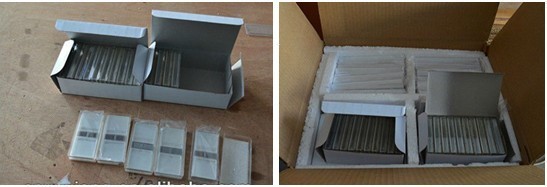 ウサギのためのスケルトンモデルの骨格を維持した教育と農業のための医療問屋・仕入れ・卸・卸売り