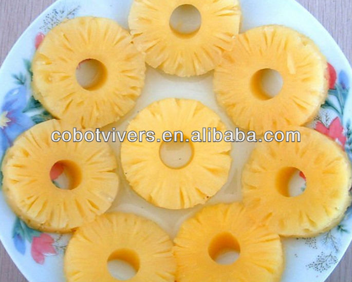 health and fresh all kinds of canned fruit foods