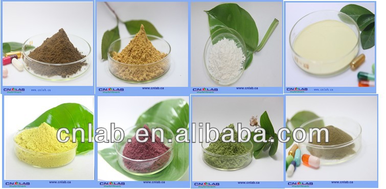 Organic Red Wine Extract for Food Supplement