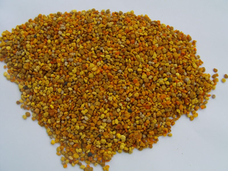 2012 mixed bee pollen honey