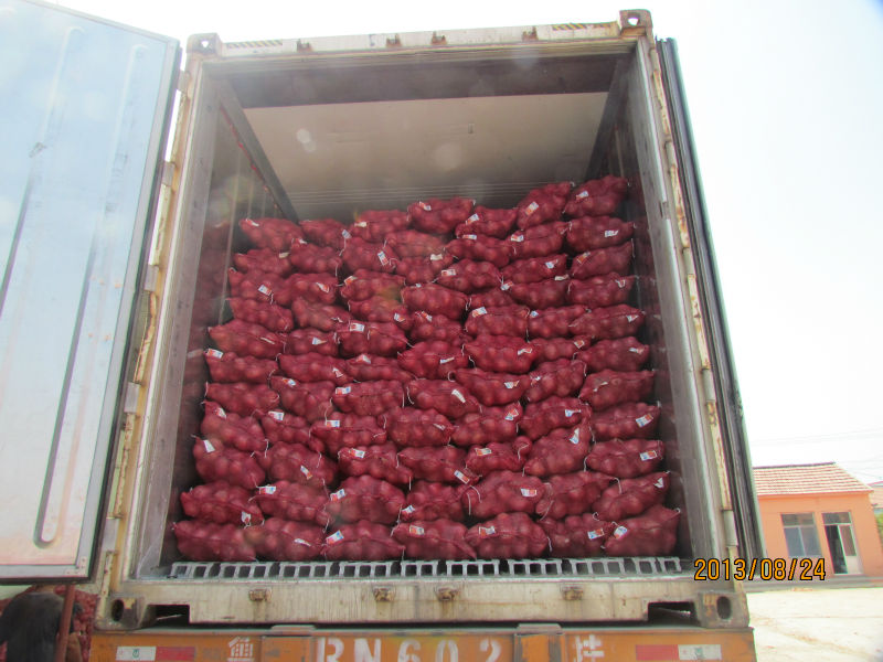 2014 fresh onion prices in in china