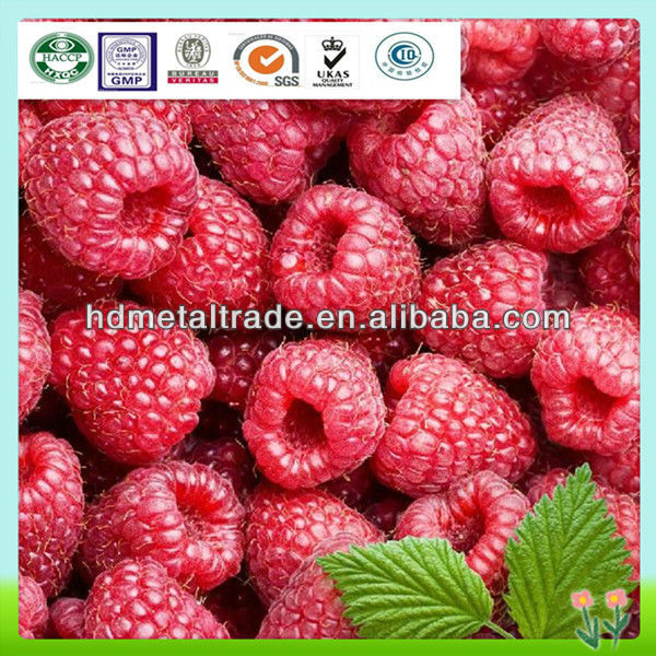 Top quality low price raspberry ketone weight loss