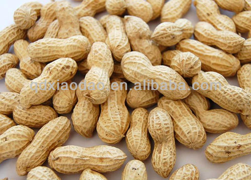 Roasted seeds and nuts machine