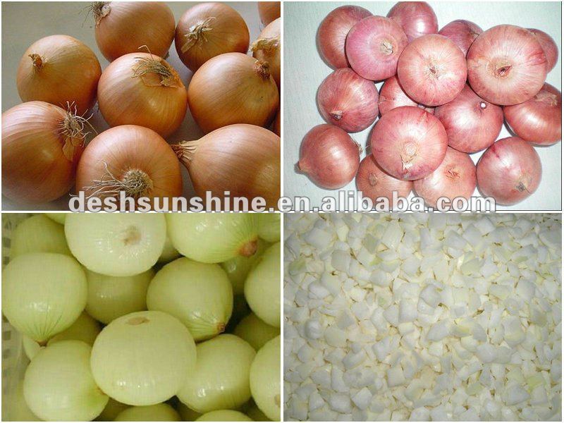 export Chinese fresh all kinds of big onion