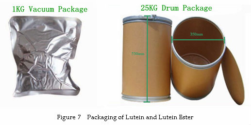 Tagetes Extract super Lutein 5%-90%