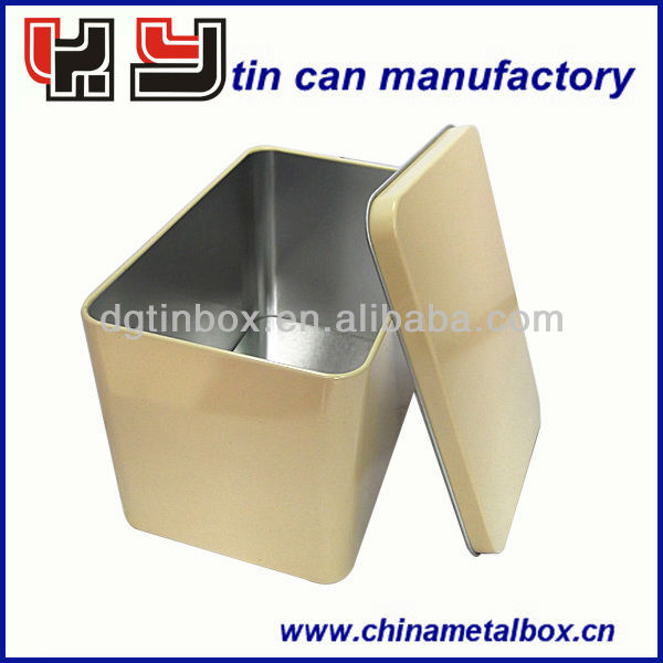Chewing Gum Box with Hinged Lid