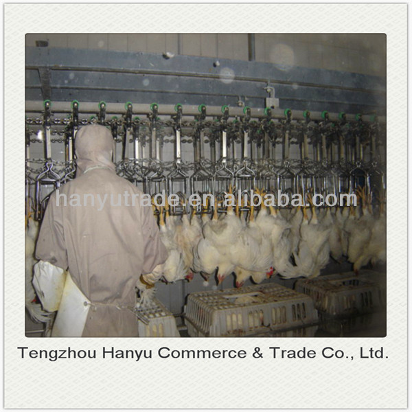 frozen boneless skinless chicken breast fillet