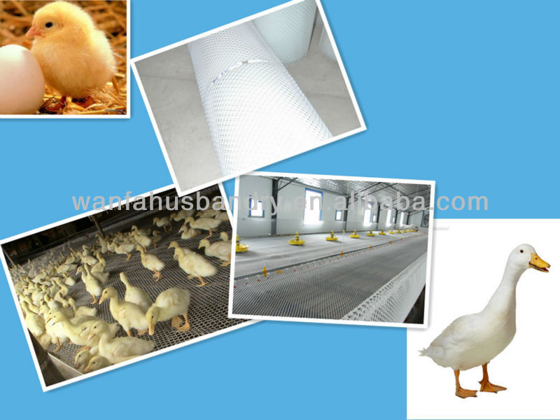 high quality plastic slat net for broiler farm