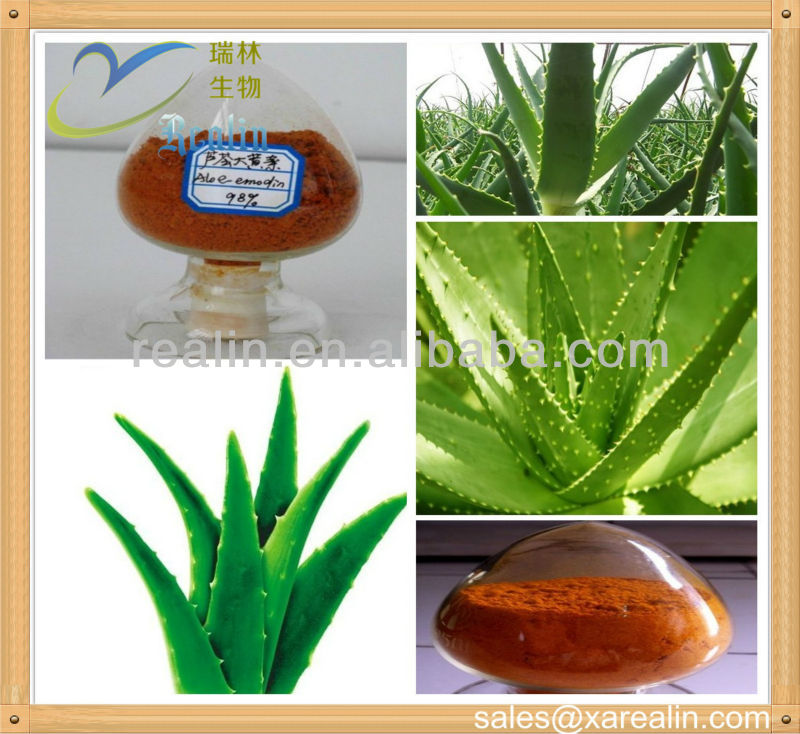 CAS No:481-72-1 Aloe Extract powder 95% emodin Powder weight reduce antitumor activity