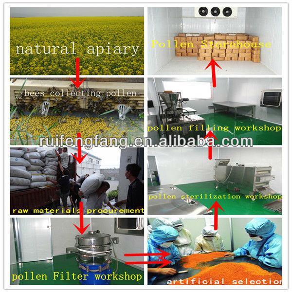 high quality with bottom price bulk pure bee pollen