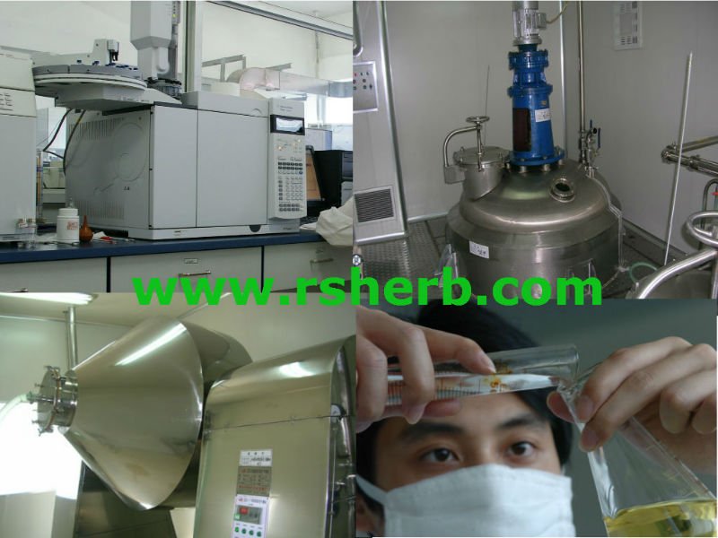 Plant Extract Cocoa Powder Manufacturer