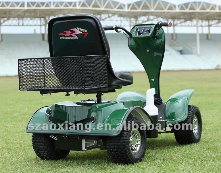 Electric Golf Buggy