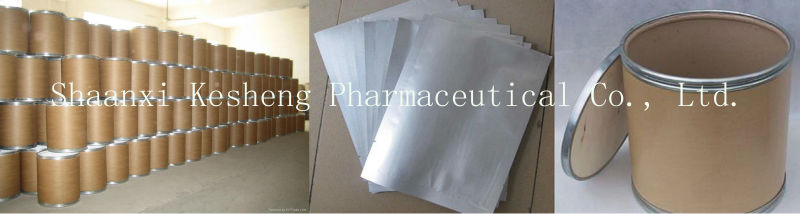 Organic White Tea Extract,Camellia sinensis O. Ktze.