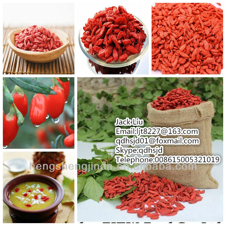 500pcs/50g Dried Goji Berry