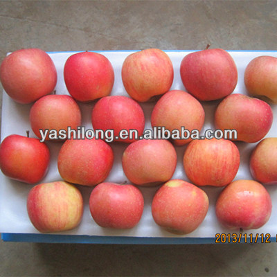 apples to apples sour with sweet from Asian Dragon Company China