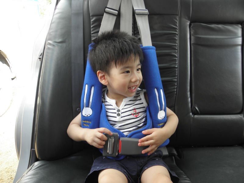 Baby Car Seat Belt(child Seat Belt) Buy Safety Seat Belt,Child Seat