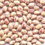 canned light speckled kidney beans