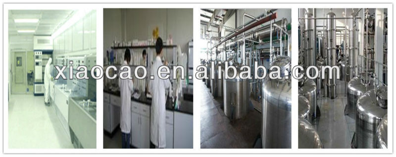 Manufacturer Supply 100% Natural Green Tea Powder Extract 90% Tea Polyphenols
