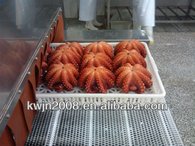 ultra low temperature tuna/ shrimp liquid nitrogen refrigerator