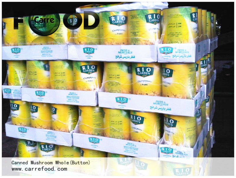 3100ml canned pineapple tidbits with top quality canned pineapple tidbits for best price pineapple canned