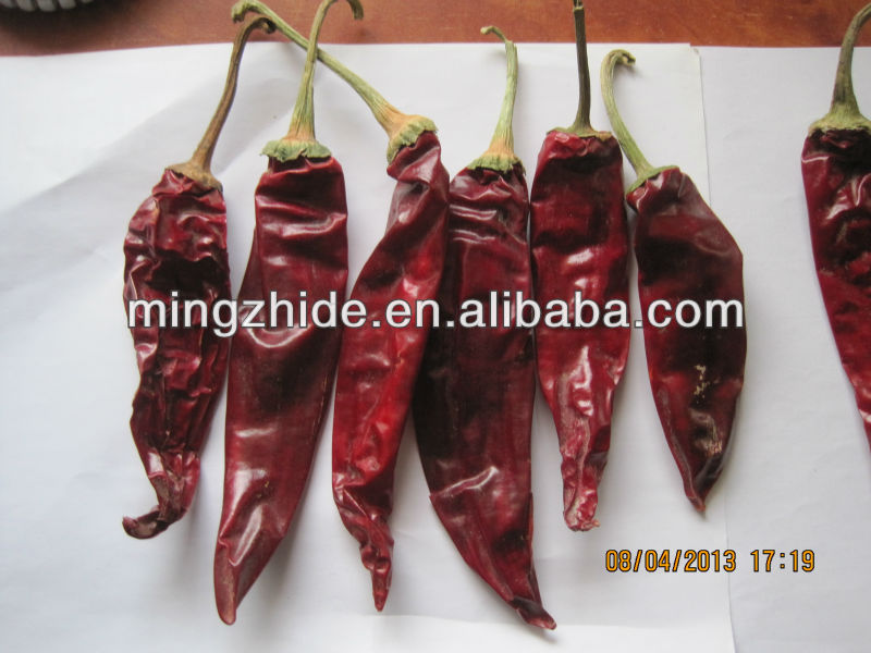 chinese red chilli,Amercia red chilli, xinjiang chilli and caotian chilli