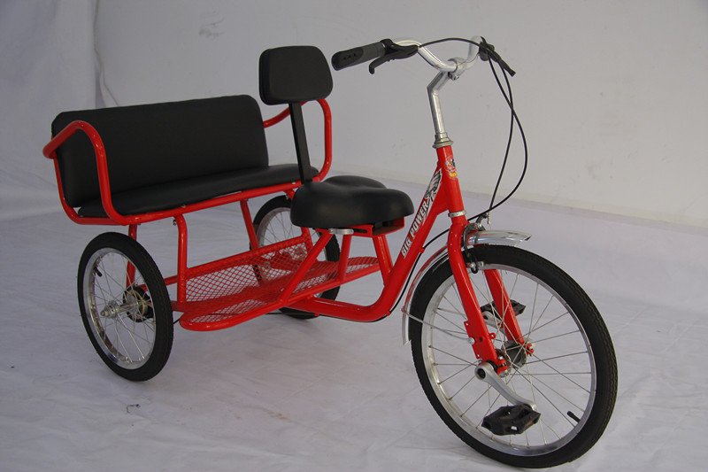 Adult Tricycle Seat 101