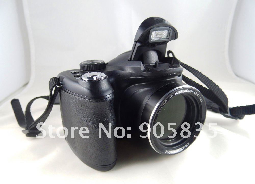 DSCI1137A_.jpg