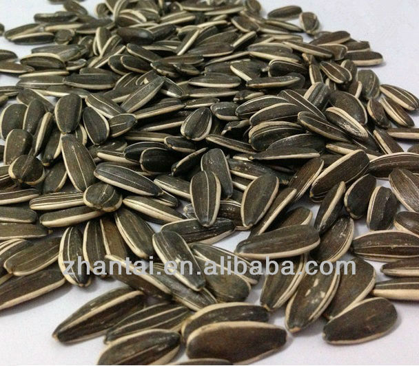 318 black sunflower seeds as nuts snacks