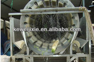 Industrial fruit wash machine