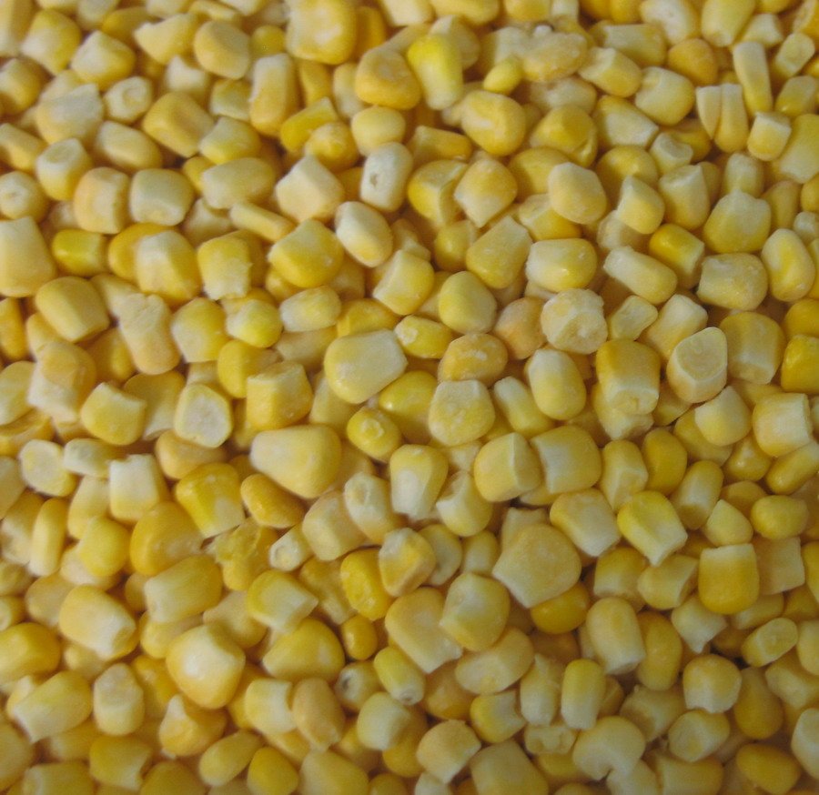 Corn Frozen