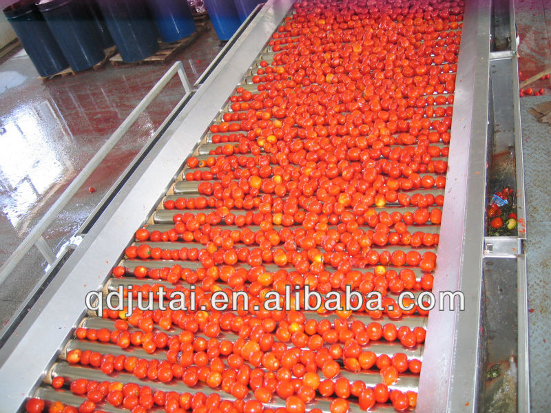 28%-30% Canned tomato paste in tin