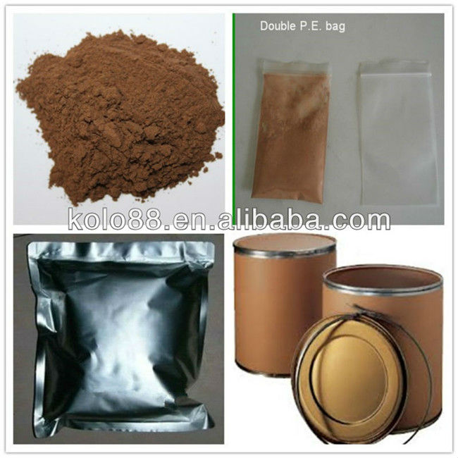 6% Theobromine Organic Cocoa Bean Extract Powder