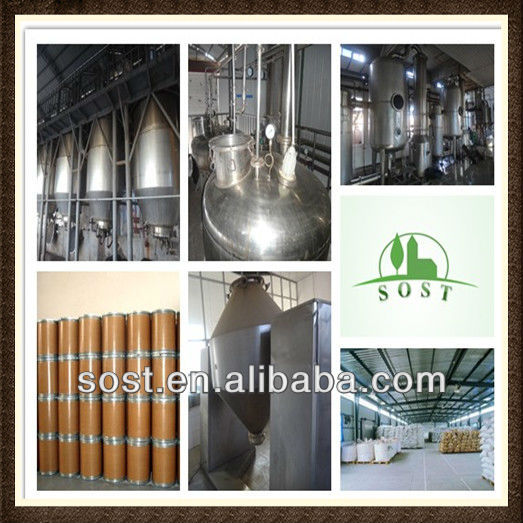 Top Quality Extract Cocoa Powder Manufacturer