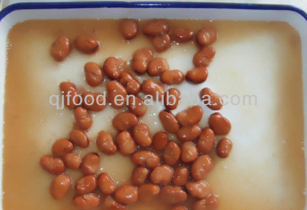canned broad beans in brine 397g new crop of china origin