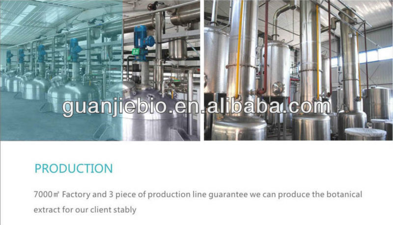 High quality Cocoa Extract//Cocoa Seeds Extract//theobromine