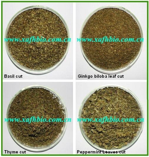 Best Selling Natural Ginger Fine Cut for Tea