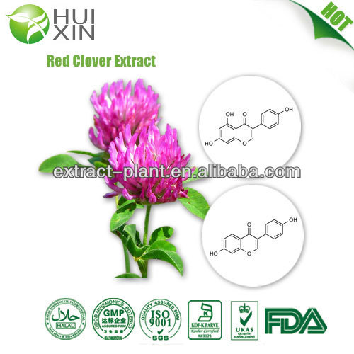 red clover extract