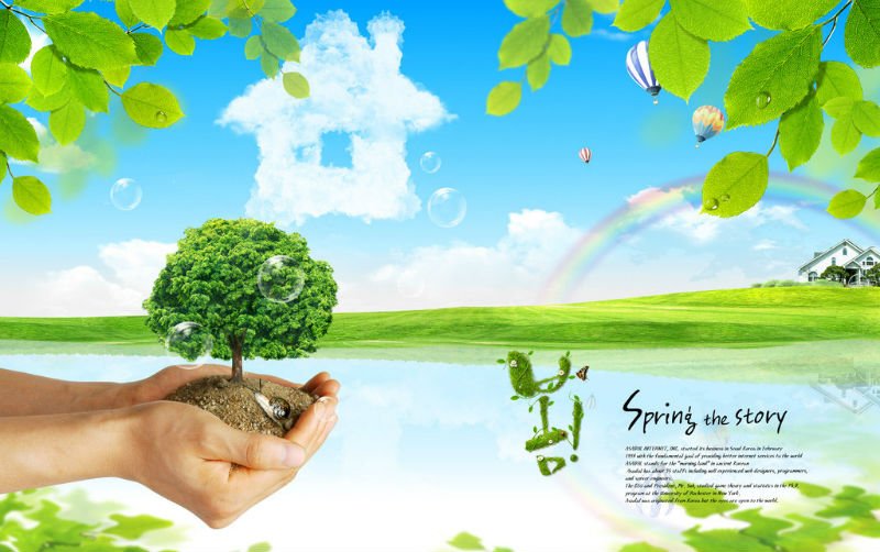 Environmental Protection Essay
