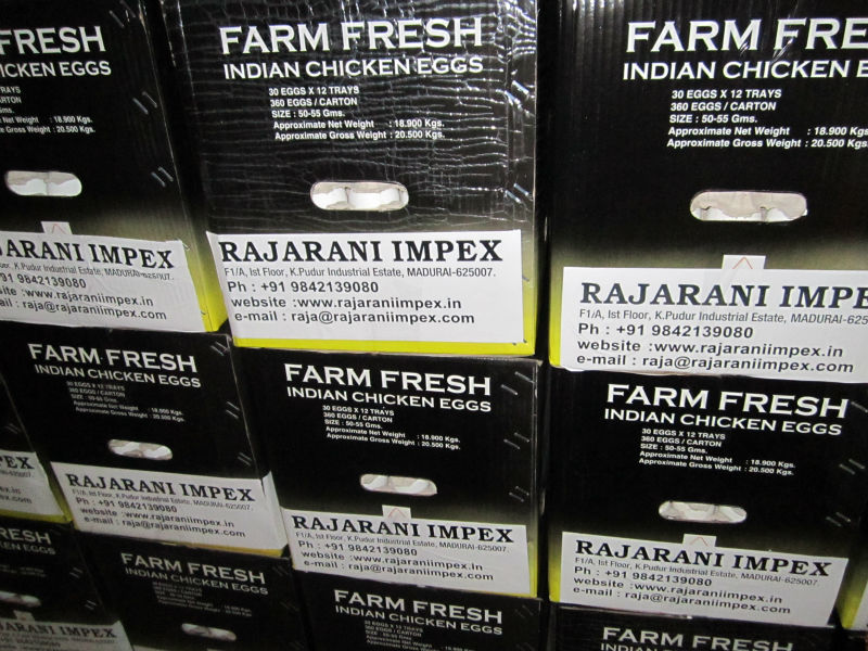 Export Quality White Shell Eggs supply to Afghanistan
