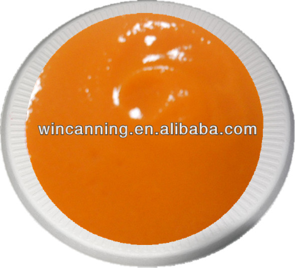 Carrot Puree/Pulp/Paste/Sauce 210kg