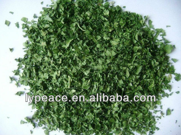 5X5MM ad celery flakes for spiced food