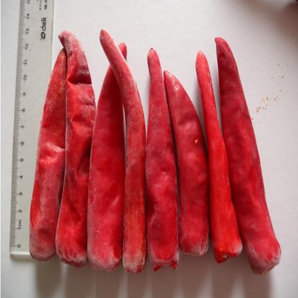 2013-2014NEW CROP importer frozen chilli