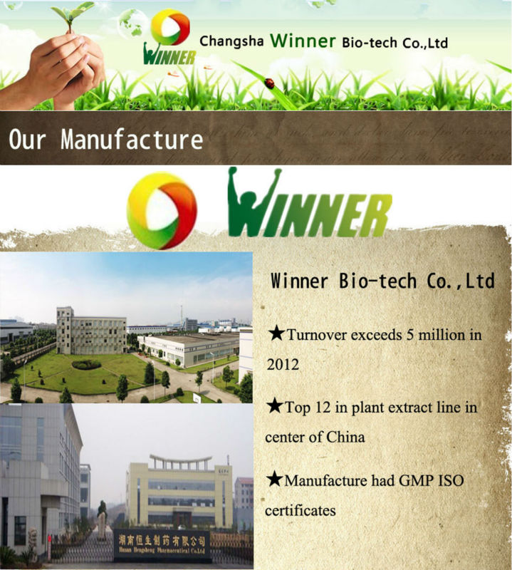 egcg white tea Extract Powder 90% CAS No.: 989-51-5 supplier