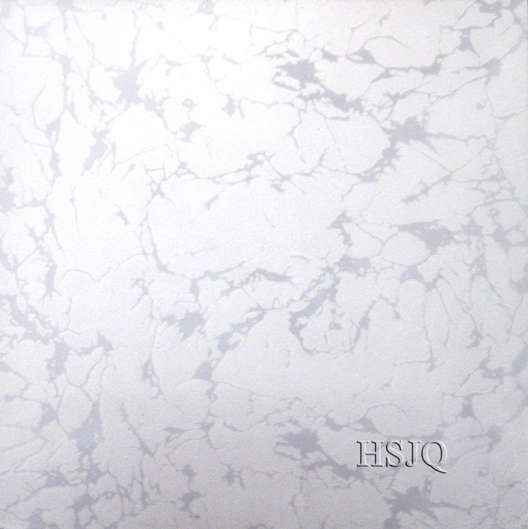 5016.jpg