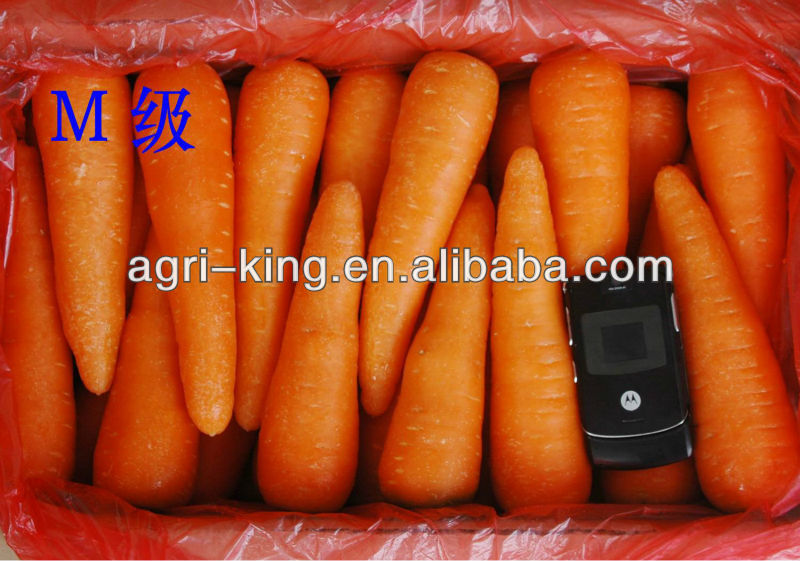 Fresh red carrot new havested in 2013