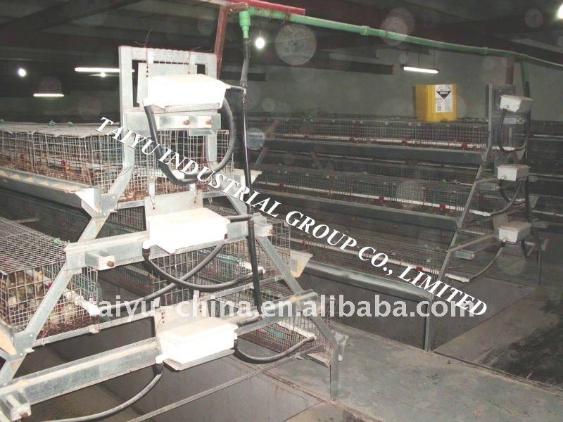 Taiyu-1 Quail Cages ( Professional Manufacturers ) - Buy Quail Cages
