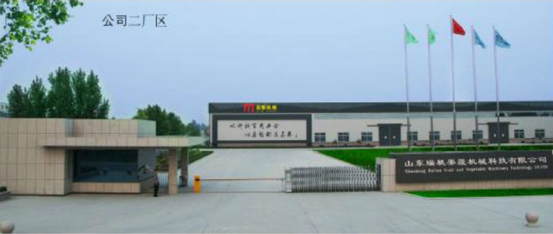 automatic vegetable processing line/frozen vegetable processing line/Salad/IQF